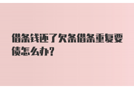 高平为什么选择专业追讨公司来处理您的债务纠纷？